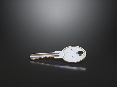 Stainless Steel Hardware Tool Key With Shiny Surface And Black Background 3d model