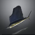 Sailfish With Blue And Yellow Body Large Dorsal Fin And Pointed Bill