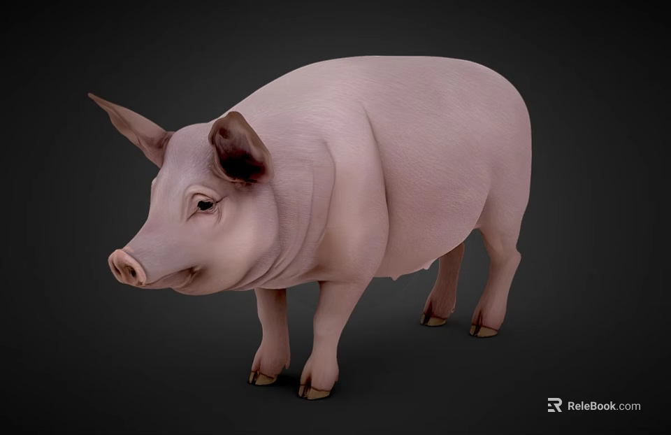 Realistic 3D Rendering of a Pink Pig with Natural Standing Pose 3d model 
