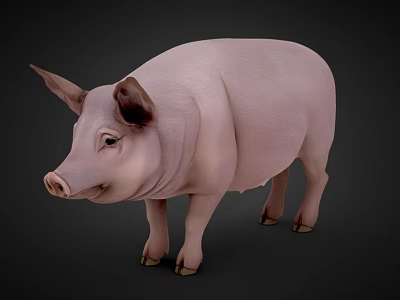 Realistic 3D Rendering of a Pink Pig with Natural Standing Pose 3d model