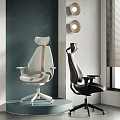 Modern Office Chairs White With Brown Stripe And Black Ergonomic Backrest And Adjustable Armrests
