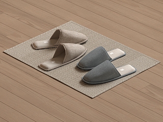 Modern slippers 3d model