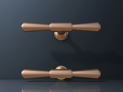 Pair of Brushed Brass Door Handles with Shiny Finish on Dark Surface 3d model