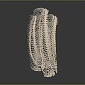 Intricate Spiral Skeletal Structure Of Biological Organ With Natural Hair Elements In Circular Coiled Design