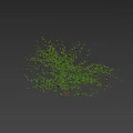 Lush Green Leafy Shrub With Woman Silhouette Spraying On White Wall With Sunlight Shadows