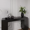 Elegant Black Console Table With Unique Legs Sculpture Green Plant And Wall Panel Design 3d model