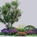 Vibrant Plant Combination With Purple Yellow Orange White Flowers Shrubs And Lush Green Foliage