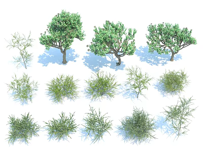 Arbor Trees and Shrubs Displaying Diverse Foliage Shapes and Sizes 3d model