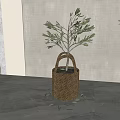 Bonsai Potted Plant in Woven Basket with Green Leaves Scattered on Gray Floor