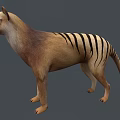 Realistic Striped Reptile 3D Model In Standing Position With Natural Colors