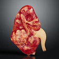 Realistic Human Kidney Organ With Hair Like Fibrous Tissue And Ureter Structure