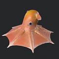 Vibrant Orange and Yellow Blanket Octopus with Spread Fins Swimming in Deep Sea