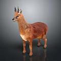 Realistic Small Deer with Brown Fur and Antlers Standing on Dark Background