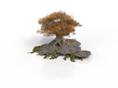 Tree with Yellow Leaves and Exposed Roots Surrounded by Stones and Green Plants 3d model