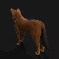 Detailed Realistic Brown Dog 3D Model With Upright Ears Standing Pose