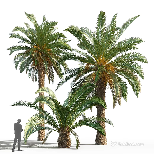 Garden Ornament Featuring Tall Palm Trees In Lush Green Landscape Design 3d model 