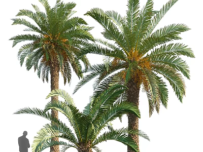 Garden Ornament Featuring Tall Palm Trees In Lush Green Landscape Design 3d model