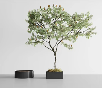 flowerpot tree 3d model