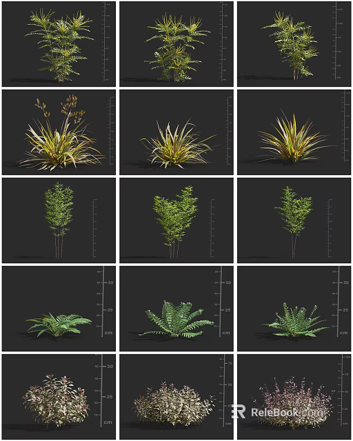 Assorted Garden Fern And Herb Plants Showcasing Diverse Leaf Shapes And Colors 3d model 