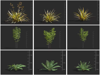 Assorted Garden Fern And Herb Plants Showcasing Diverse Leaf Shapes And Colors 3d model