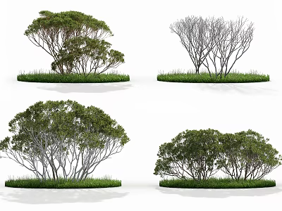 Diverse Arbor Forms Including Leafy and Leafless Trees on Green Grass Ground 3d model