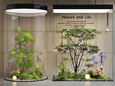 Indoor Landscape in Glass Containers with Ferns Trees Purple Flowers Pebbles and Lights 3d model
