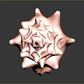 Vibrant Pink and Orange Tiered Tower Shaped Conch Seashell with Shiny Finish on Dark Background