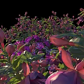 Vibrant Blooming Pink Purple Flower Bush With Lush Green Leaves