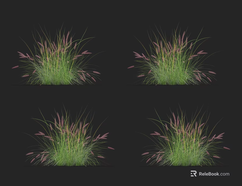 Elegant Green Grass With Pink Spiky Flowers On Black Background 3d model 