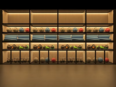 Modern Storage Rack Gym Private Education Storage Rack 3d model