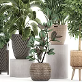 Various Green Leafy Potted Plants In Woven And Ceramic Textured Containers For Home Decor