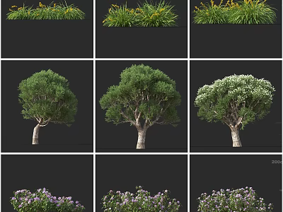 Different Varieties Of Shrubs With Green Foliage And Purple Flowers For Landscaping 3d model