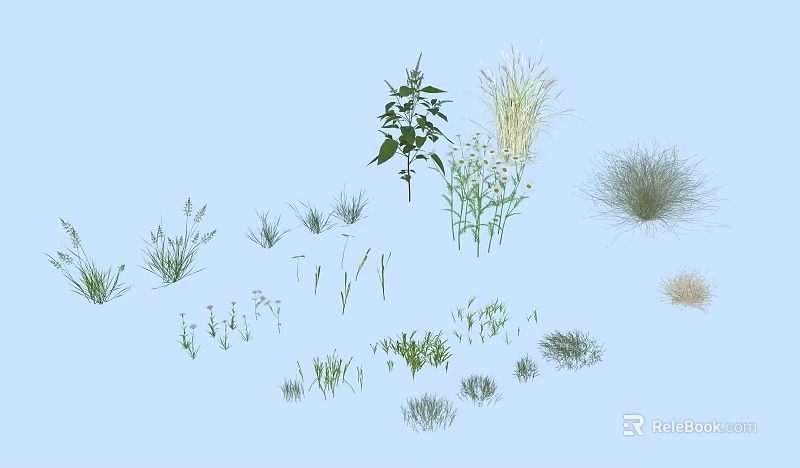 Various Garden Herbs And Flowers Collection With Different Green Plants 3d model 