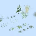 Various Garden Herbs And Flowers Collection With Different Green Plants 3d model