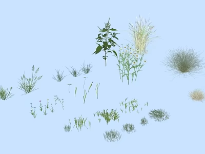 Various Garden Herbs And Flowers Collection With Different Green Plants 3d model