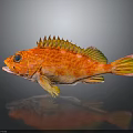 Colorful Red Orange Spotted Fish With Spiky Fins Blue Eyes And Vibrant Scales