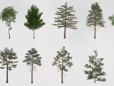 Isolated Arbor Trees of Various Types With Green Foliage and Straight Trunks 3d model