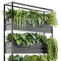 Stylish Black Multi Layer Metal Plant Stand With Various Green Plants For Indoor Decor