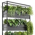 Plant Rack Shelf Storage Rack Plant Green Plant Flowers and Grasses Iron Rack 3d model