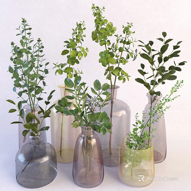 Decorative Glass Vases With Green Plants And Fresh Foliage For Home Decor 3d model 