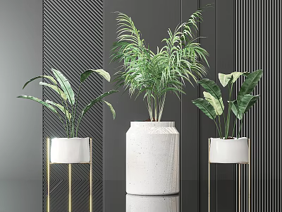 Modern Potted Green Plants In White Pots With Golden Stands Against Dark Striped Wall 3d model