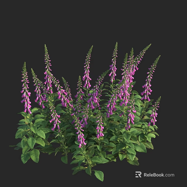 Vibrant Purple Flowers With Green Leaves Blooming In Lush Dense Clusters 3d model 