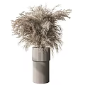 Modern Garden Ornaments Featuring Dried Pampas Grass In Tall And Short Ribbed Vases