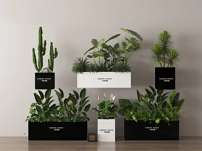 Indoor Green Plants With Various Flowers In Black White Pots Wall Mounted And Floor Placed 3d model