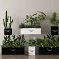 Indoor Green Plants With Various Flowers In Black White Pots Wall Mounted And Floor Placed