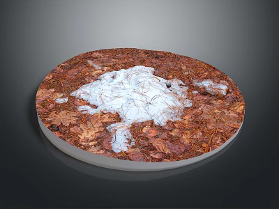 Circular Terrain Surface Covered With Fallen Leaves And White Snow 3d model