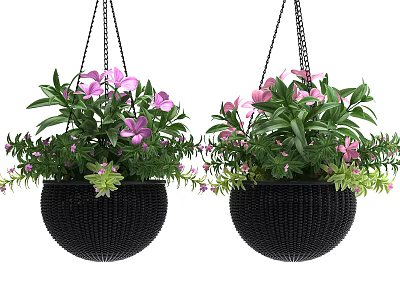 Hanging Basket Plants With Black Woven Pots Pink Flowers And Green Leaves 3d model