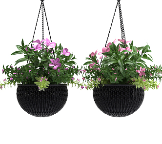 Southeast Asia Hanging Basket Flower Decoration 3d model