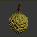 Fresh Yellow Custard Apple With Bumpy Texture And Brown Stem On Gray Background 3d model
