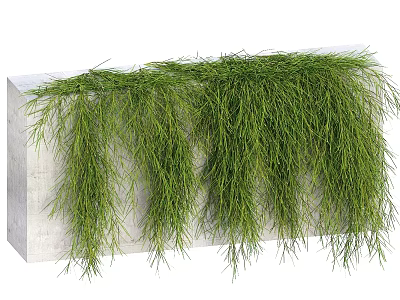 Lush Green Hanging Vines Growing On White Concrete Block Surface 3d model